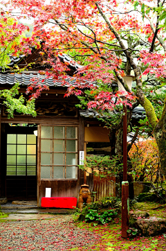 Crystalk采集到日本・画报—— 风景画卷