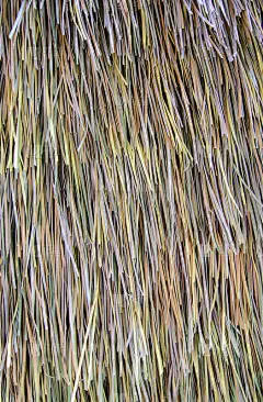 人工茅草屋顶抽象的背景纹理