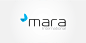 Mara International logo