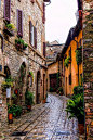 Spello, Umbria, Italy。意大利翁布里亚斯佩罗。有着田园诗般的乡村和山野，风景如画的翁布里亚被誉为“意大利的绿色心脏”。而斯佩罗本是非常素朴的中世纪小城，和翁布里亚其他城市差不多，石头是绝对的主角。斯佩罗建筑的百分之八十都是罗马时代遗迹，也就是说，斯佩罗是翁布里亚最古罗马的小镇。斯佩罗的鲜花节，意大利语是Infiorata，其实是翁布里亚小镇斯皮罗的圣体瞻礼仪式，这一天，斯皮罗的所有主要街道和广场上，都铺满干花屑组成的花毯，美轮美奂。这里的人格外喜爱鲜花，即使不是鲜花节，所有窗台阳台也都