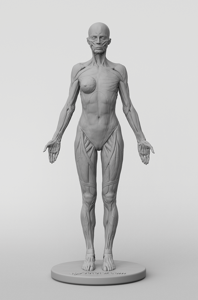 // 3dtotal Anatomy: ...