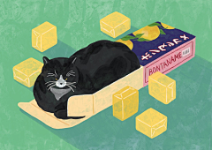 jiaozi饺子采集到猫鼠游戏