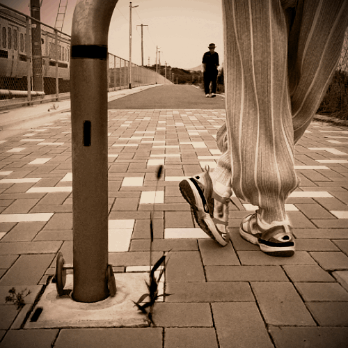 Flixel | photocliper...