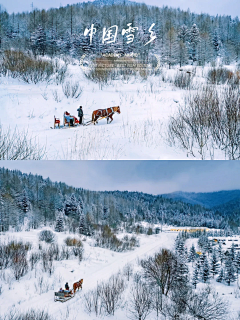 ゛也~许采集到雪乡行程配图