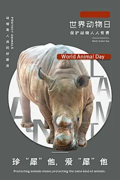 保护野生动物公益宣传海报