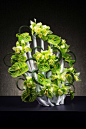 灵感来自孔雀的Peacock vase花瓶设计 生活圈 展示 设计时代-Powered by thinkdo3@北坤人素材