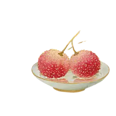 【米图网-52mitu.com】荔枝 水果 手绘 插画荔枝