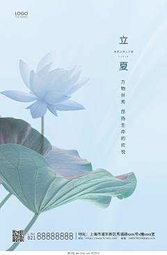 魔力设采集到【立夏】在线编辑海报