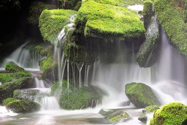 Moss, Waterfall, Nat...
