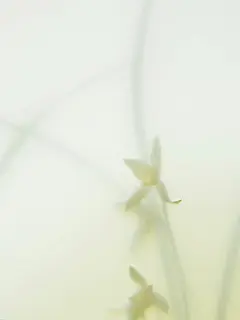 20240628_093517_031