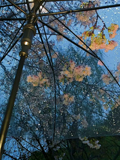 龟龟笼滴冻采集到氛围-光影-色彩 实景