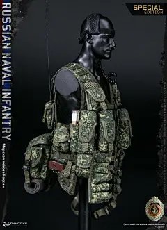 【新提醒】DAMTOYS 新品：1/6 俄罗斯海军步兵（海军陆战队）-78070# 标准版 &amp; 雪地特别版兵人在线BBICN - Powered by Discuz!