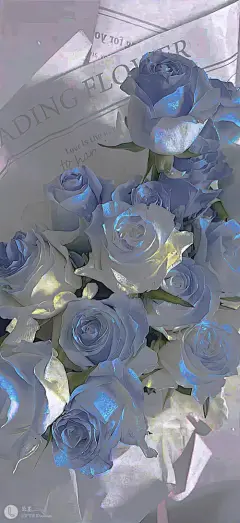 #摄影（花）#