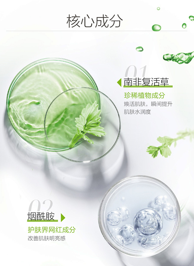 南非复活草乳液_04.jpg