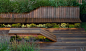 景观-美国波士顿，曲线型屋顶平台_Wood_Flow_J.Roc_Design_–_mo