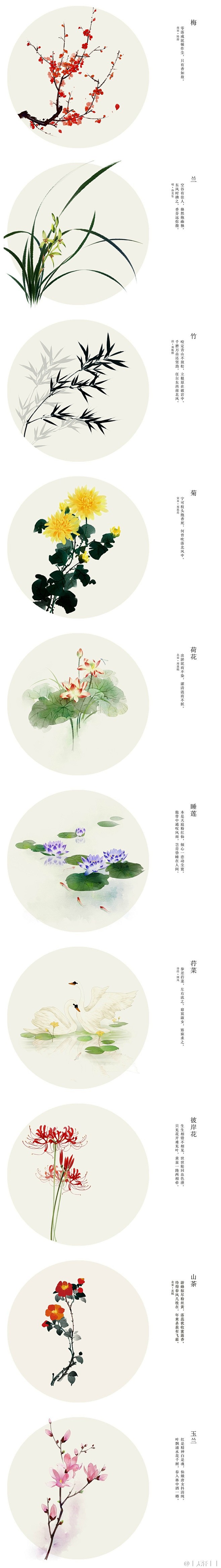 【莫愁春尽花又落 全年皆是赏花时】