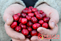 加拿大安大略省慕斯科卡(Muskoka)小红莓和美酒之旅-旅游风景