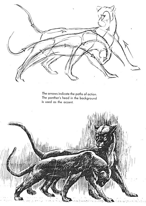 动物的画法日本漫画手绘技法经典教程 速写...
