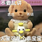 森贝儿表情包