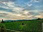 全部尺寸 | Tuscany Wine? (Montepulciano, Italy) | Flickr - 相片分享！