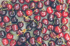 夏日的浆果背景夏季熟樱桃