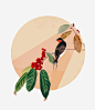 喜鹊高清素材 动物 圆形底纹 果实 绿叶 免抠png 设计图片 免费下载