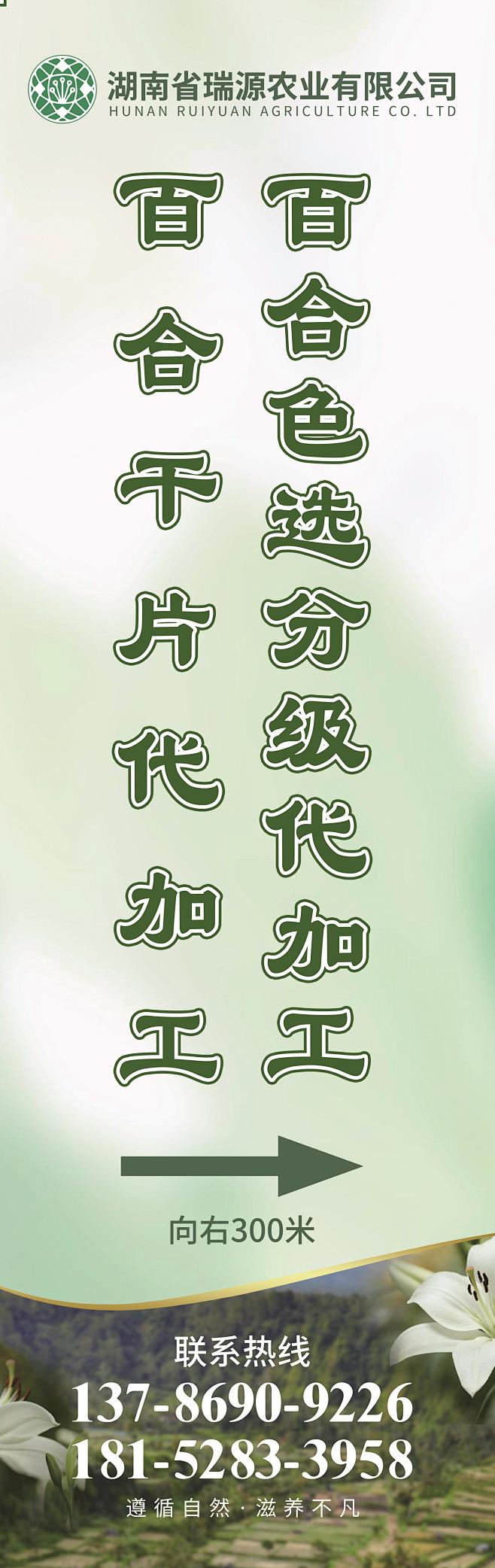 指引牌