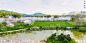 武汉东湖樱花园720VR全景展示