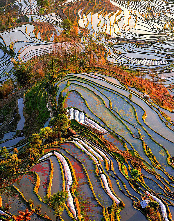 隔空俯瞰，滇南梯田