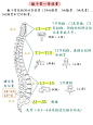 微博 – 随时随地发现新鲜事