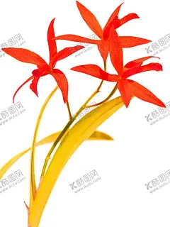 花素材 【酷图网】花素材,小清新花朵,花朵底纹,鲜花花朵素材,花朵,彩色,粉玫瑰,红玫瑰,矢车菊,勿忘我,桔梗,百合,风信子,郁金香,康乃馨,素材,装饰,真花,唯美,清新,花店装饰,百合花,花朵素材,底纹边框,花边花纹,植物花草,纺织印花,花卉