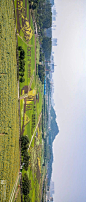 40万㎡向日葵花海+15万㎡稻田艺术来了，画面绝美，就在深圳