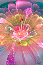 Flower Animation