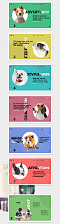 Dogs : This project is about dogs, about the love to the animals. It’s a reminder to all of us about the love that we should give to our four-legged friends.All rights of images are owned by their owners and used only for presentation. Project is non-comm