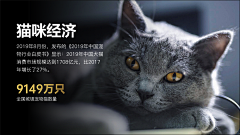 YKS的PPT素材灵感库采集到数据展示-PPT