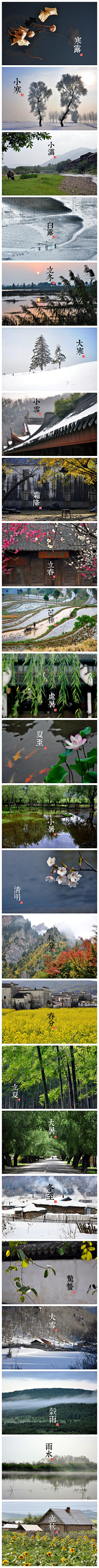 爱丘草々童采集到节气