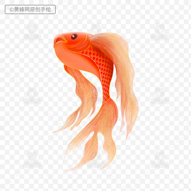 手绘金鲤鱼,金鲤鱼,中国风,国风,国潮,...