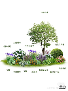 小潘潘口口采集到花境