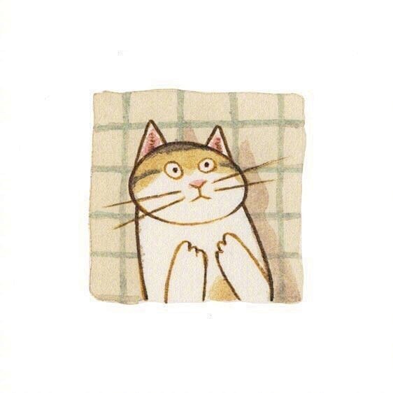 猫咪的自画像，插画师Eunyoung S...