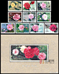                                                                                                                         中国早期的【86年以前】花卉邮票虽然不多，但是套套是经典，菊花、月季花是水彩表现，尤其是60年的菊花，配色大胆典雅，艳丽而不燥，牡丹花、木兰花、兰花邮票使用国画工笔表现，64年的牡丹花更是利用当时最好的印刷表现，山茶花是油画技法表现，把山茶厚重且立体的美感表现无疑，最有