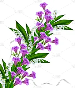 矮牵牛花,白色背景,分离着色,垂直画幅,草坪,夏天,草,自然界的状态,石生风铃草,花头