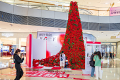 城市漫游CityWalk采集到摄影