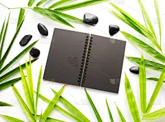 背景,速写本,黑色,纸,竹子叶,贺卡,休闲活动,枝繁叶茂,spa美容,书页