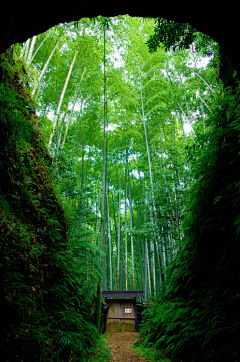 LIJINGPING采集到风景