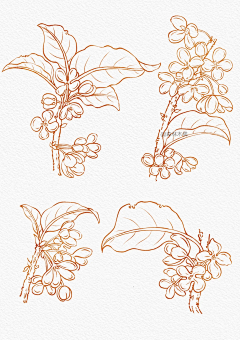 楚兮11采集到插画