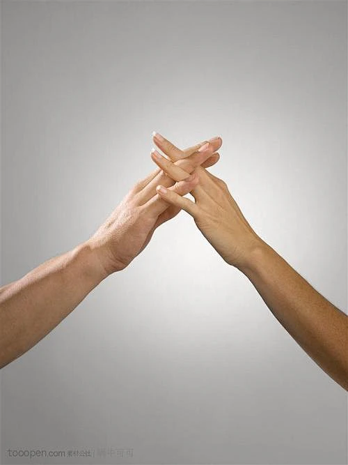 柴犬 双手交叉表情