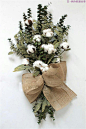 【本期主题】
　　棉花|cotton
　　（拉丁学名：Gossypium spp）
　　锦葵科棉属/被子植物