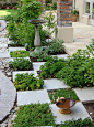 formal herb garden: 