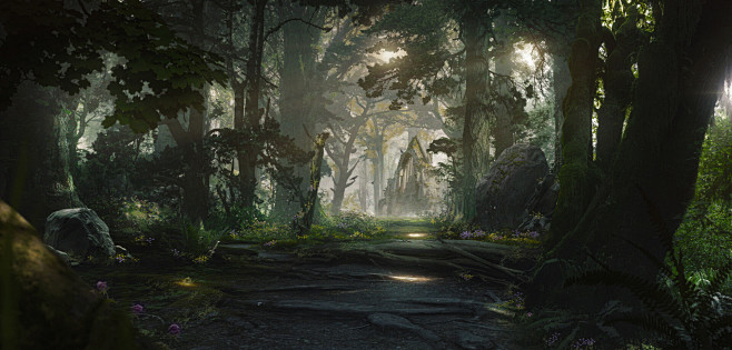 Enchanted Forest