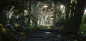 Enchanted Forest